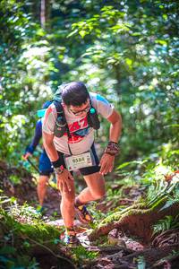 BIB: 9584
                            <button type="button" onclick="openModal(19332414)" class="btn btn-primary btn-sm float-right btn-popup" data-toggle="modal" data-target=".modal-high-quality">
                        <i class="fas fa-shopping-cart"></i> Add to Cart
                    </button>
                                            <button type="button" onclick="isThisMe(19332414, true)" class="btn btn-success btn-sm float-right btn-popup btn-isme hidden" data-toggle="tooltip" data-placement="bottom" title="นี่คือรูปของคุณใช่ไหม คลิกที่นี่เพื่อเอาเข้าอัลบั้ม">
                        <i class="fas fa-plus"></i> Add to album
                    </button>
                    <button type="button" onclick="isThisMe(19332414, false)" class="btn btn-warning btn-sm float-right btn-popup btn-isnotme hidden">
                        <i class="fas fa-ban"></i> Remove from album
                    </button>